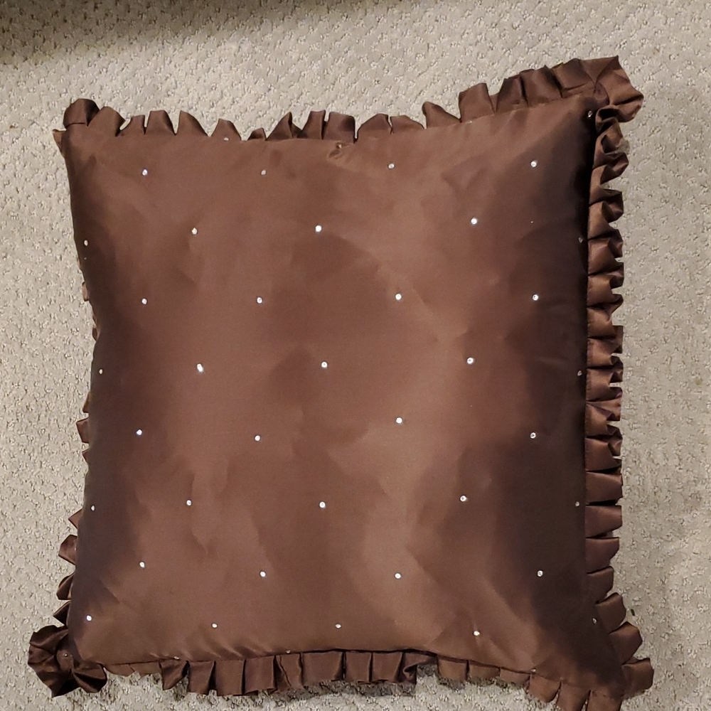 Z GALLERIE 100% Silk Accent pillow with small bling 20"x20"